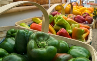 Farmers Market Produce